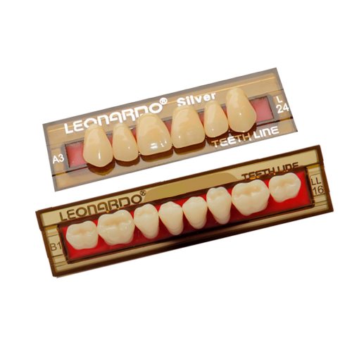 Dente Leonardo Silver L21 Superior B2
