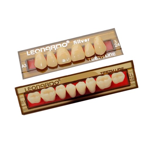 Dente Leonardo Silver L21 Superior C2