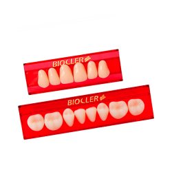 Dente Biocler 133 Superior 65