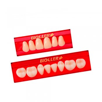 Dentes Biocler Dentes Biocler