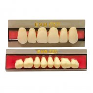 Dente Evotri E3 Superior BL3 Dente Evotri E3 Superior BL3