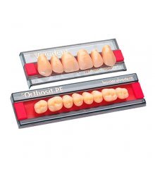 Dentes Dentes