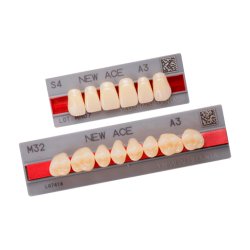 Dente New Ace L4 Inferior A1