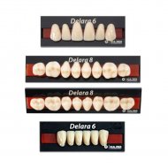 Dente Delara 34L Inferior A3 - Kulzer