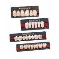 Dente Premium LL Inferior A2 - Kulzer Dente Premium LL Inferior A2 - Kulzer