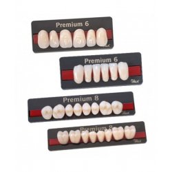 Dente Premium L20 Inferior A2 - Kulzer Dente Premium L20 Inferior A2 - Kulzer