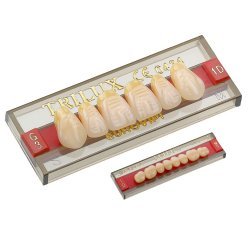 Dente Trilux T44 Superior 1A